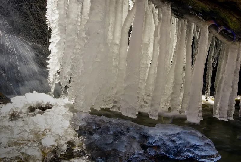Royalview Picnic Shelter picnic ground in Brecksville, OH