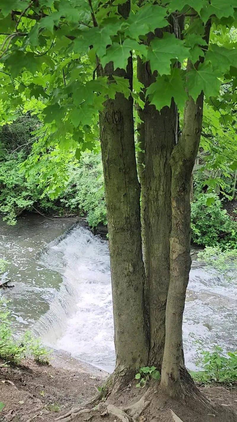 View of Ruisseau-De Montigny Nature Park in Dollard-des-Ormeaux, QC