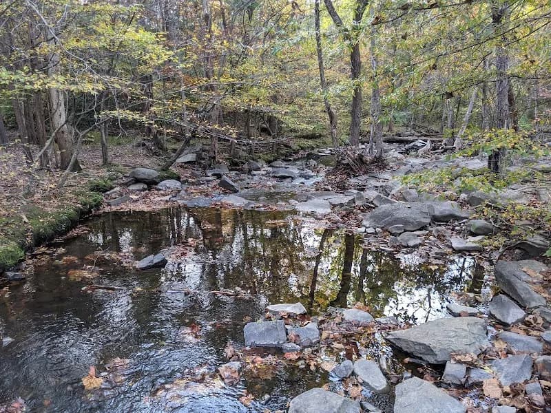 Runnymede Park park in Herndon, VA
