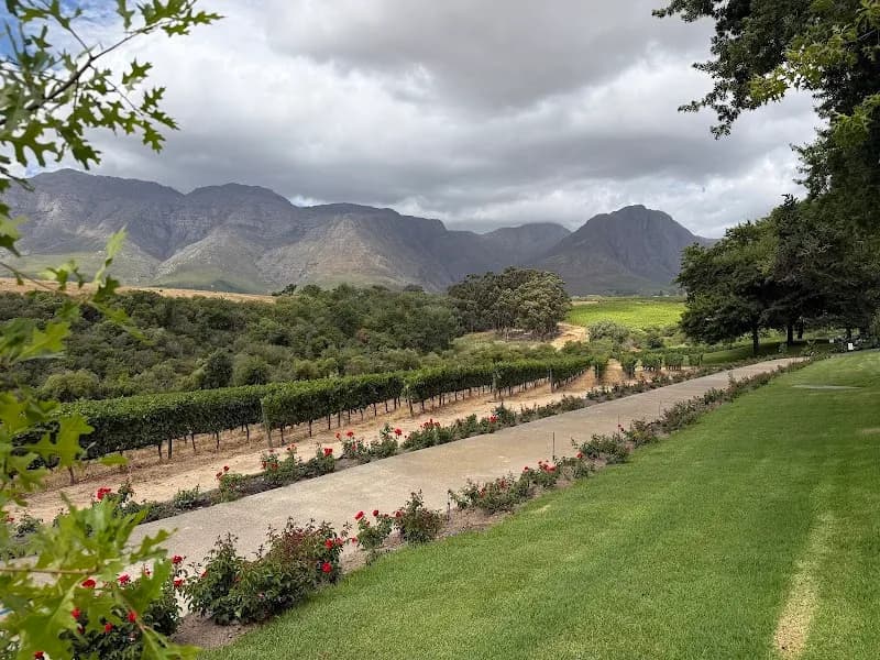 View of Rust en Vrede Wine Estate in Stellenbosch, WC