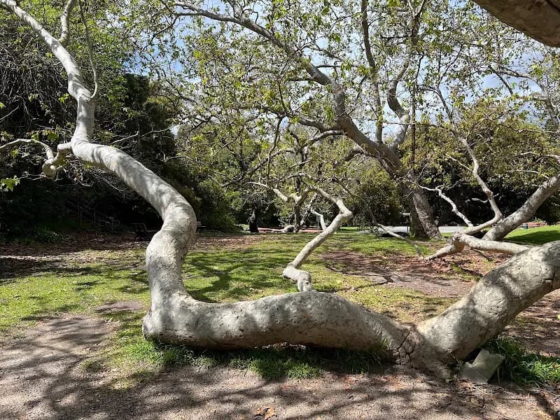 View of Rustic Canyon Recreation Center in Pacific Palisades, CA