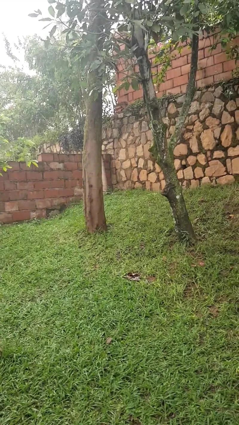 View of Rwanda Arts Initiative (RAI) in Nyarugenge, Kigali