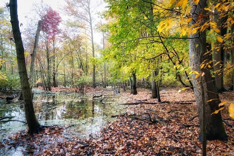 View of Rye Nature Center in Rye, NY