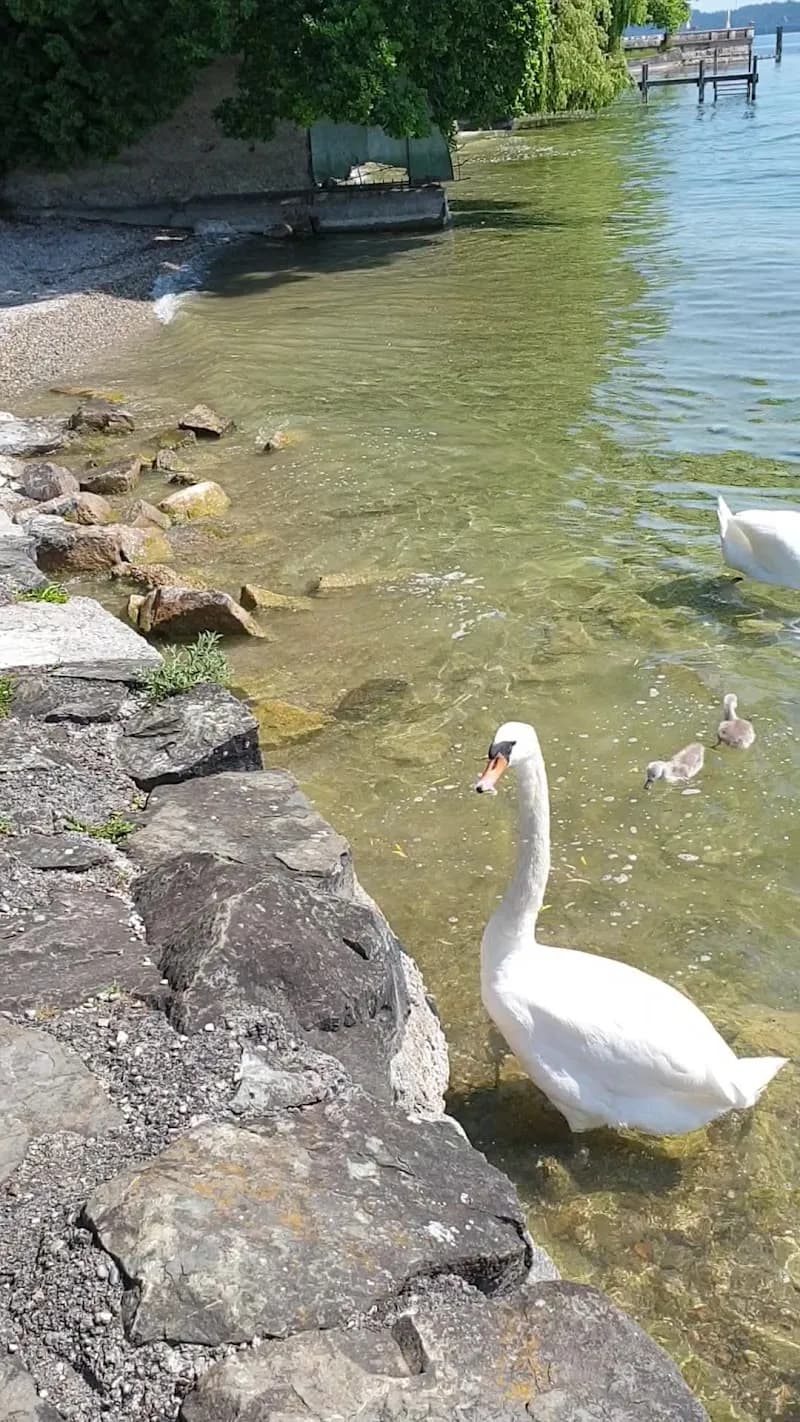 View of Südbad Tutzing in Tutzing, BY