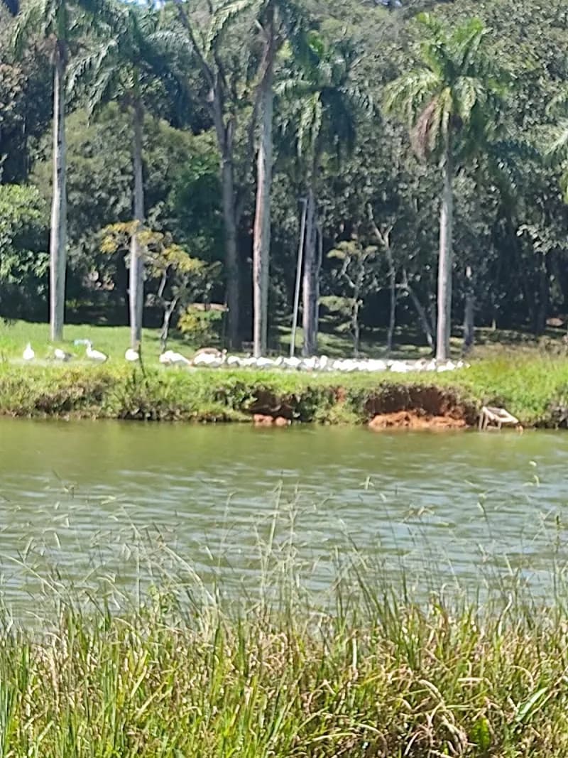 View of São Paulo Botanical Garden in Sao Paulo, SP