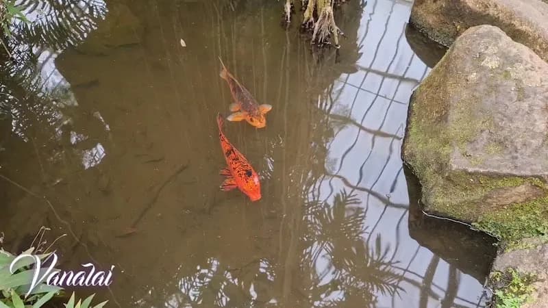 View of São Paulo Botanical Garden in Sao Paulo, SP