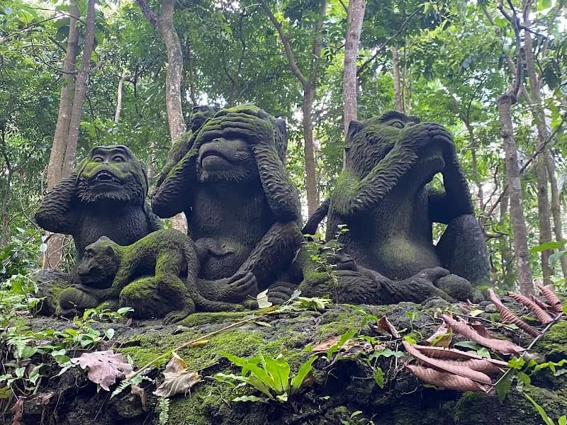 View of Sacred Monkey Forest Sanctuary in Bali, BA