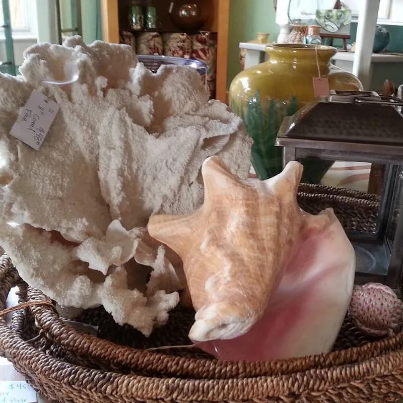 View of Safety Harbor Galleria in Safety Harbor, FL