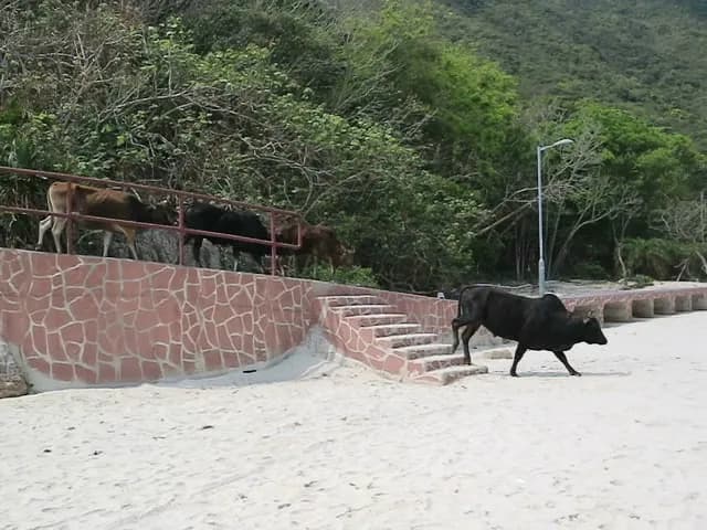 View of Sai Wan Beach in Sai Kung, HK