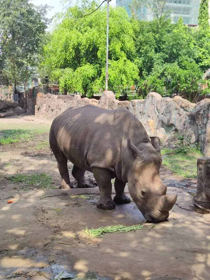 Saigon Zoo & Botanical Gardens zoo in Ho Chi Minh City, HCM