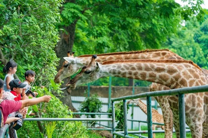 View of Saigon Zoo & Botanical Gardens in Ho Chi Minh City, HCM