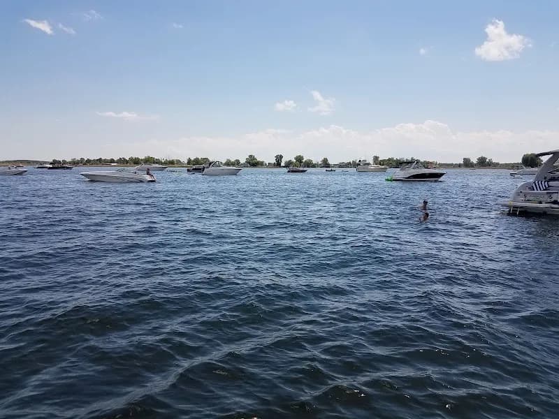 View of Saint Clair Flats State Wildlife Area in Harsens Island, MI