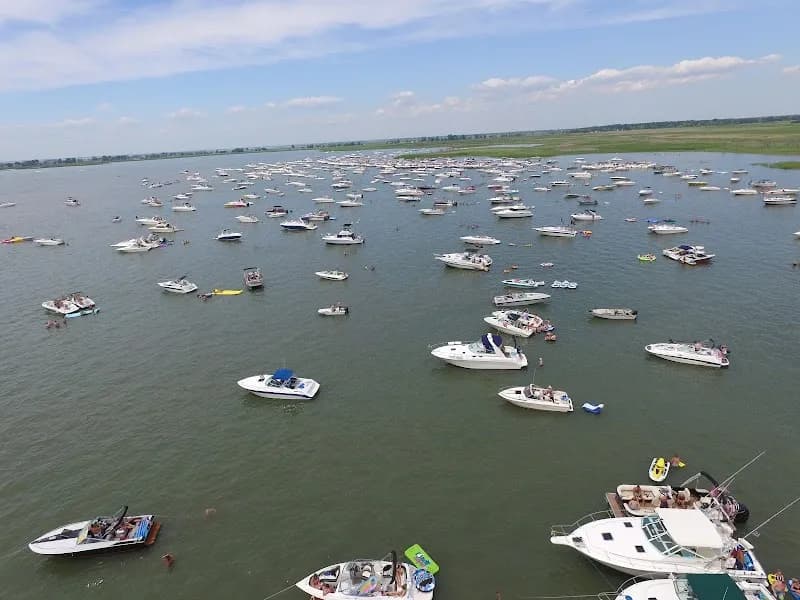 View of Saint Clair Flats State Wildlife Area in Harsens Island, MI