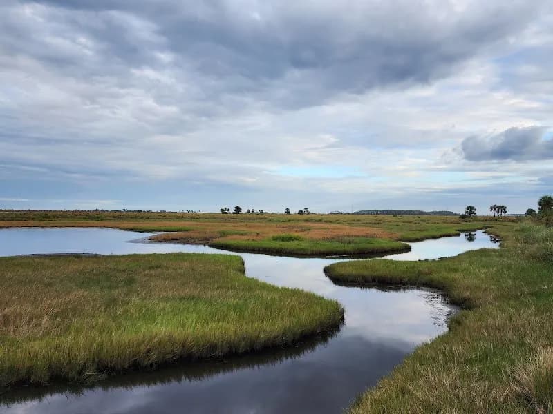 View of Saint Marks National Wildlife Refuge in Tallahassee, FL