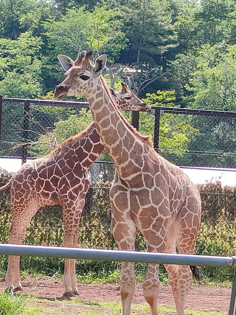 Saitama Children's Zoo zoo in Saitama, Saitama