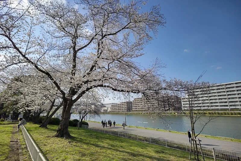 Saitama Prefectural Toda Park park in Toda, Saitama