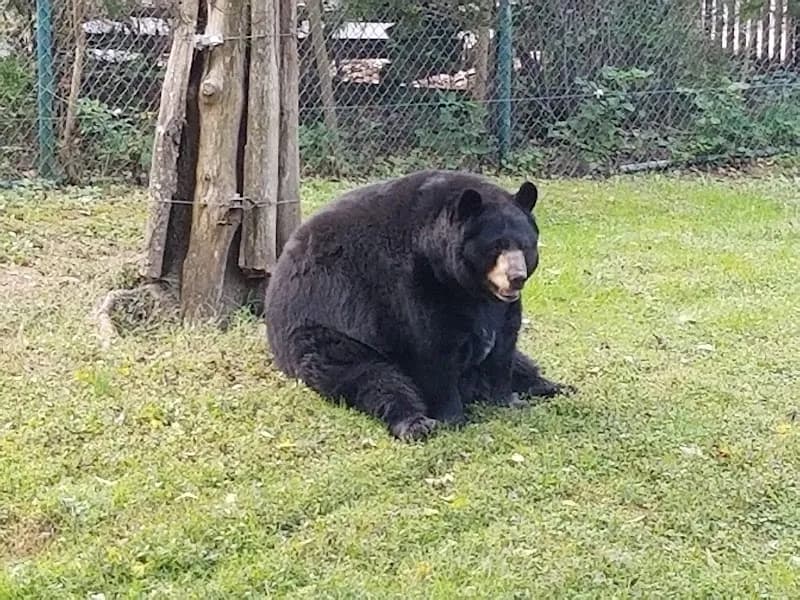 Salato Wildlife Education Center park in Lexington, KY