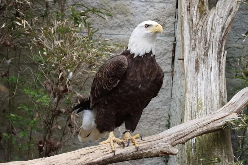 View of Salato Wildlife Education Center in Lexington, KY