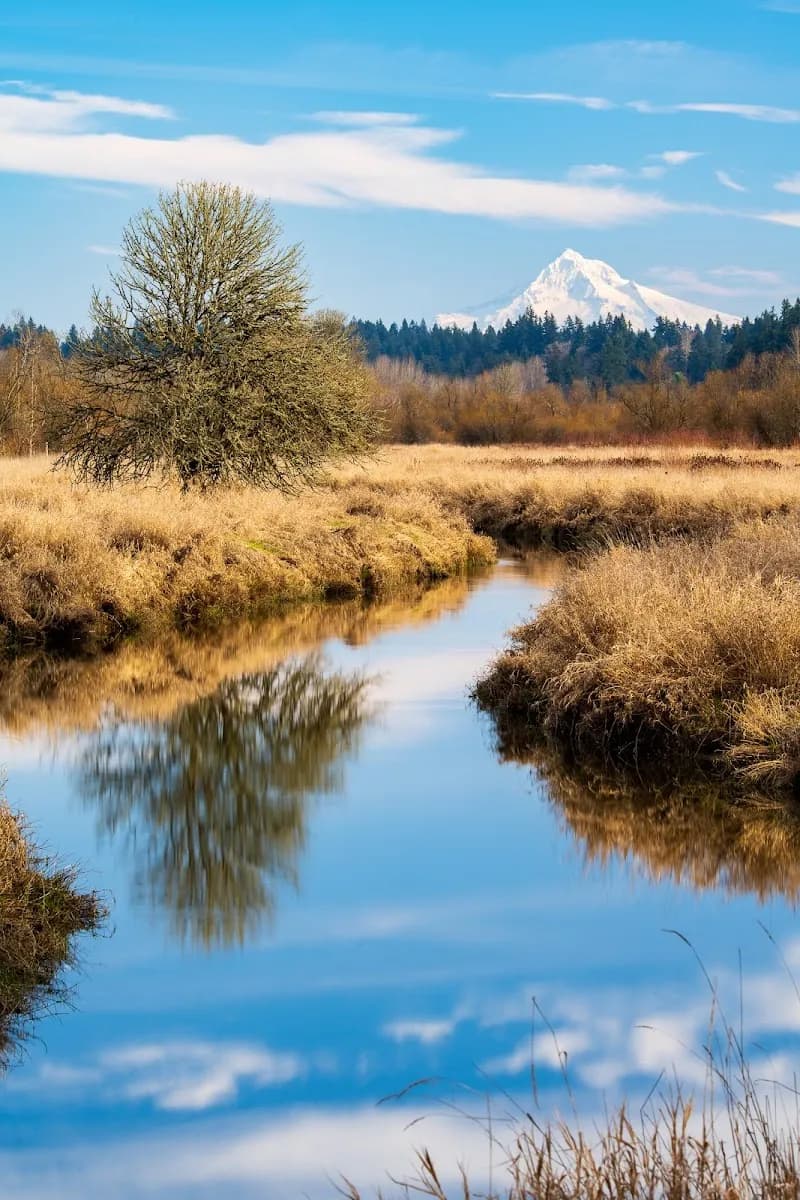 View of Salmon Creek Greenway Trail in Vancouver, WA