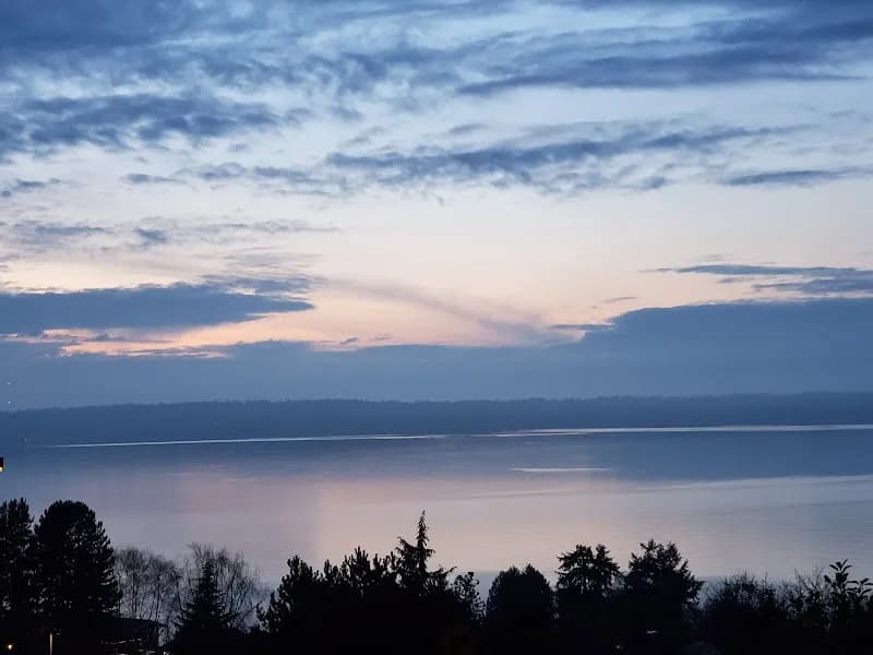 View of Salmon Creek Ravine Park in Burien, WA