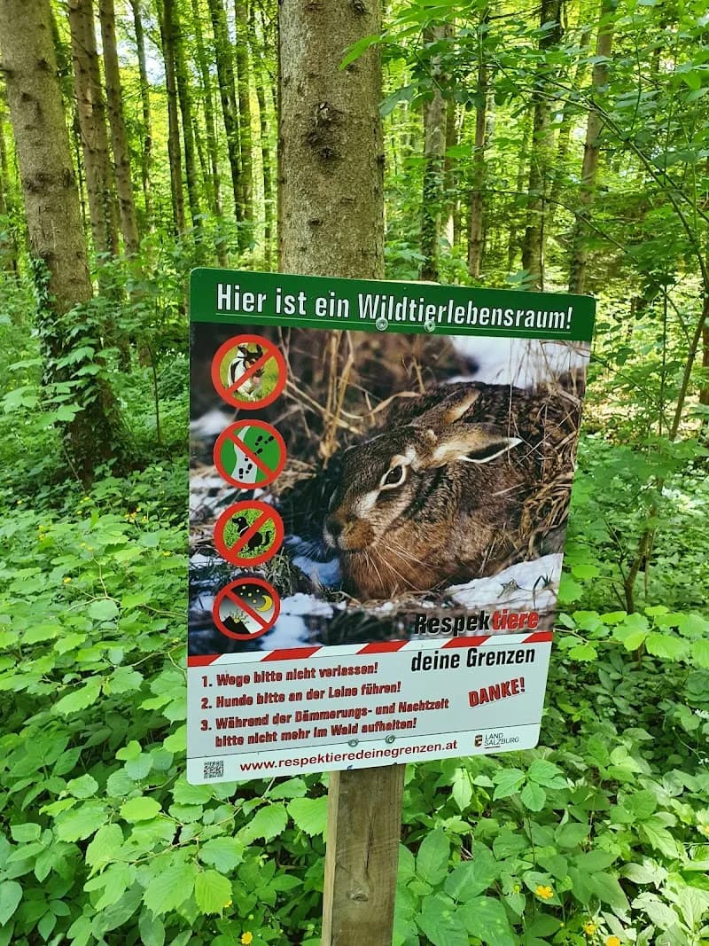 View of Salzach River Trail (Anthering Section) in Anthering, Salzburg