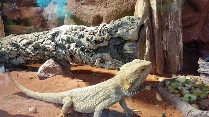 View of Salzburg Zoo Hellbrunn in Salzburg, SBG