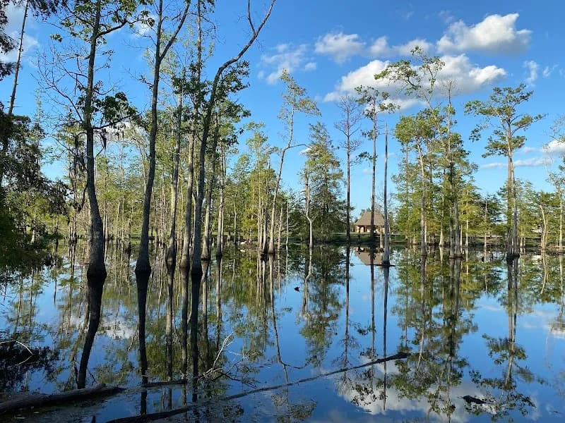 View of Sam Houston Jones State Park in Lake Charles, LA