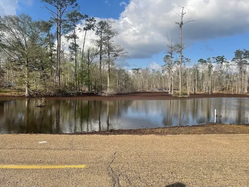 View of Sam Houston Jones State Park in Lake Charles, LA