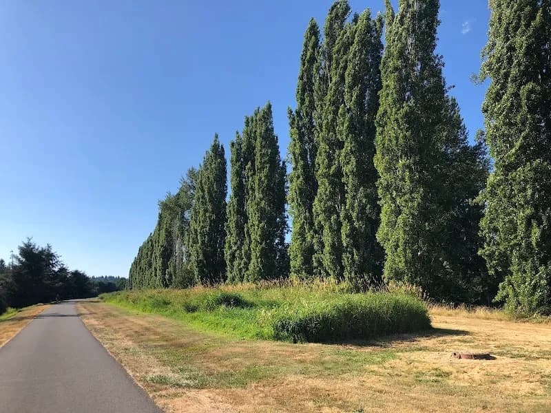 View of Sammamish River Trail in Redmond, WA