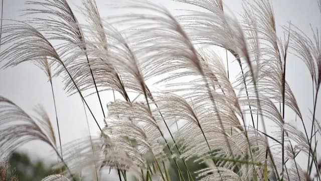 View of Samnak Ecological Park in Sasang-gu, Busan