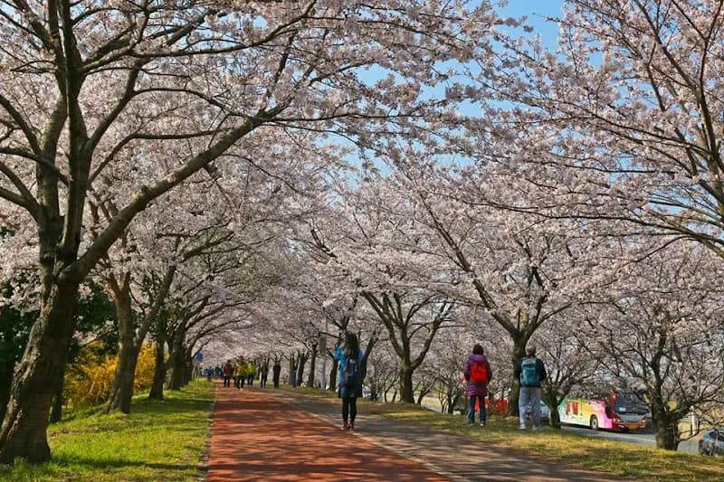 View of Samnak Ecological Park in Sasang-gu, Busan