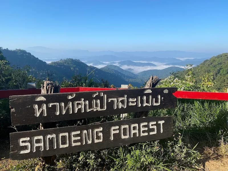 View of SAMOENG FOREST in Samoeng, CM