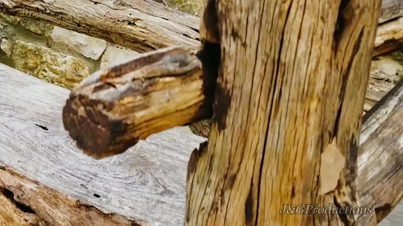 View of San Antonio River Walk in San Antonio, TX