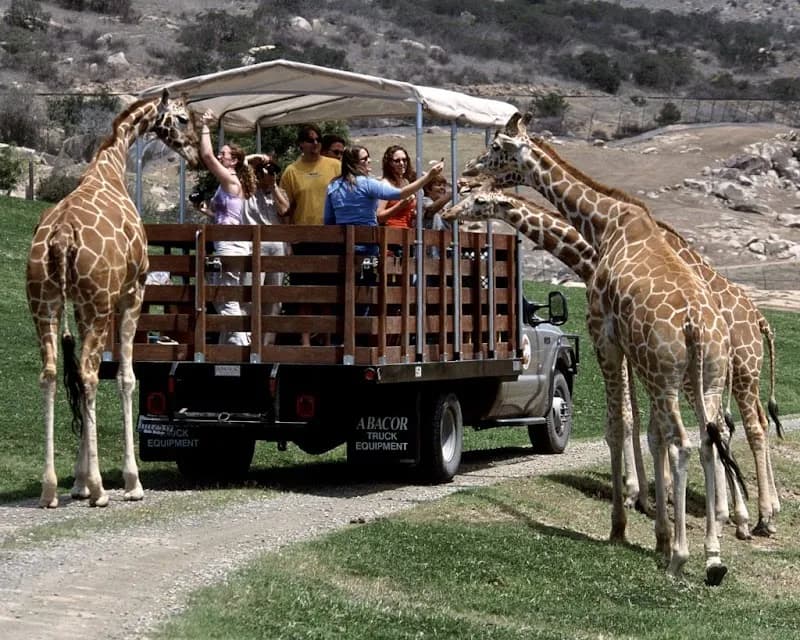 View of San Diego Zoo in San Diego, CA