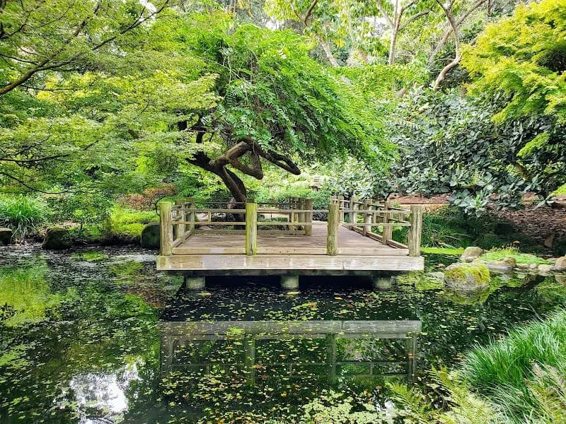 View of San Francisco Botanical Garden in San Francisco, CA