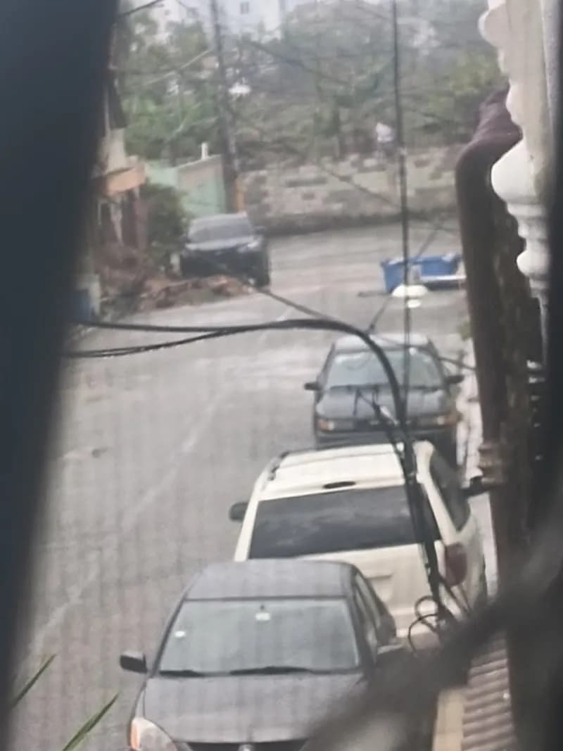 View of San Isidro Cathedral in San Isidro, BA