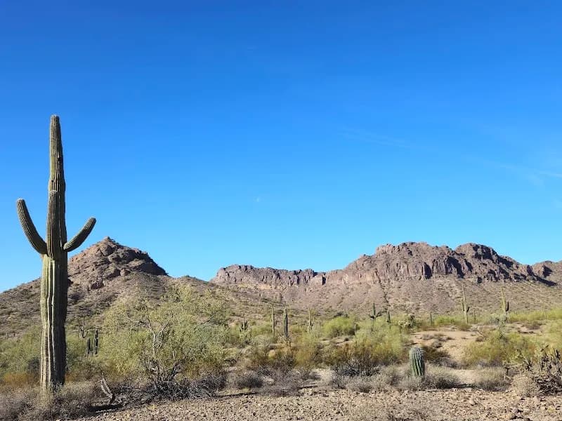View of San Tan Mountain Regional Park in Chandler, AZ