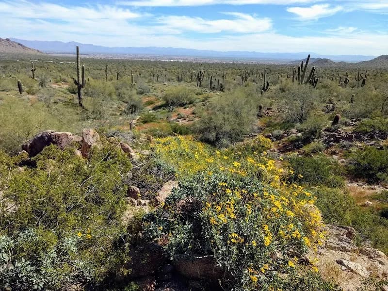 View of San Tan Mountain Regional Park in Chandler, AZ