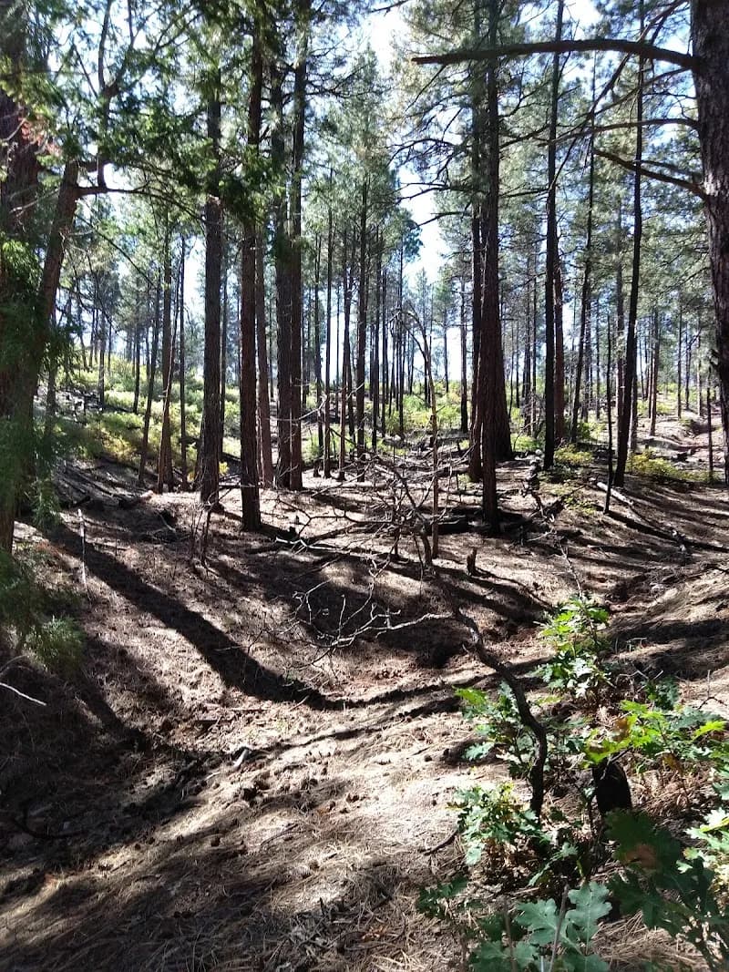 View of Sandia Mountain Natural History Center in Cedar Crest, NM