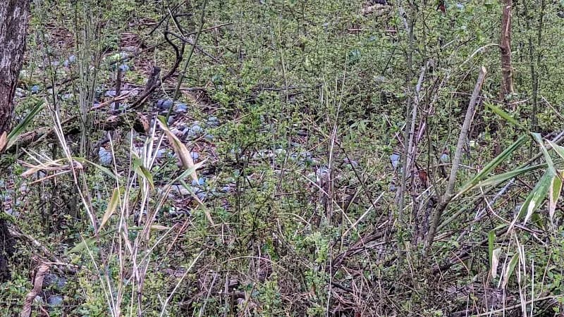 View of Sandy Springs Racquet Center in Sandy Springs, GA