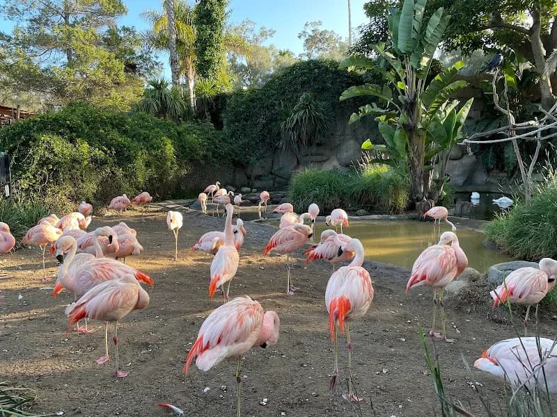Santa Barbara Zoo zoo in Santa Barbara, CA