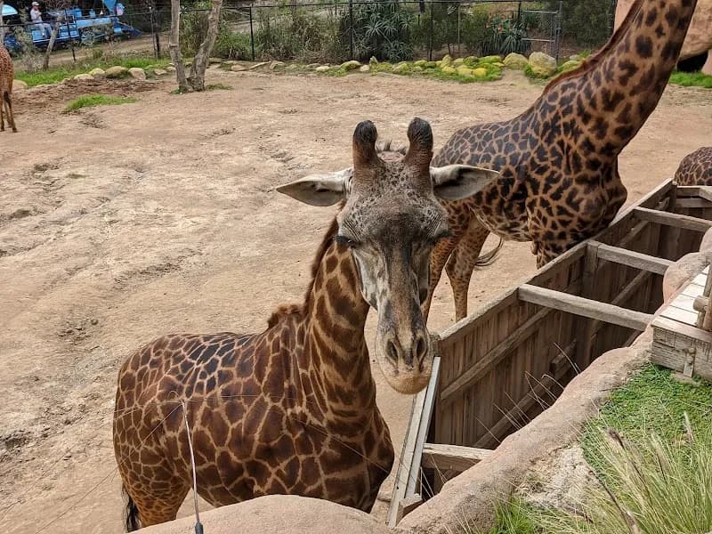 View of Santa Barbara Zoo in Santa Barbara, CA