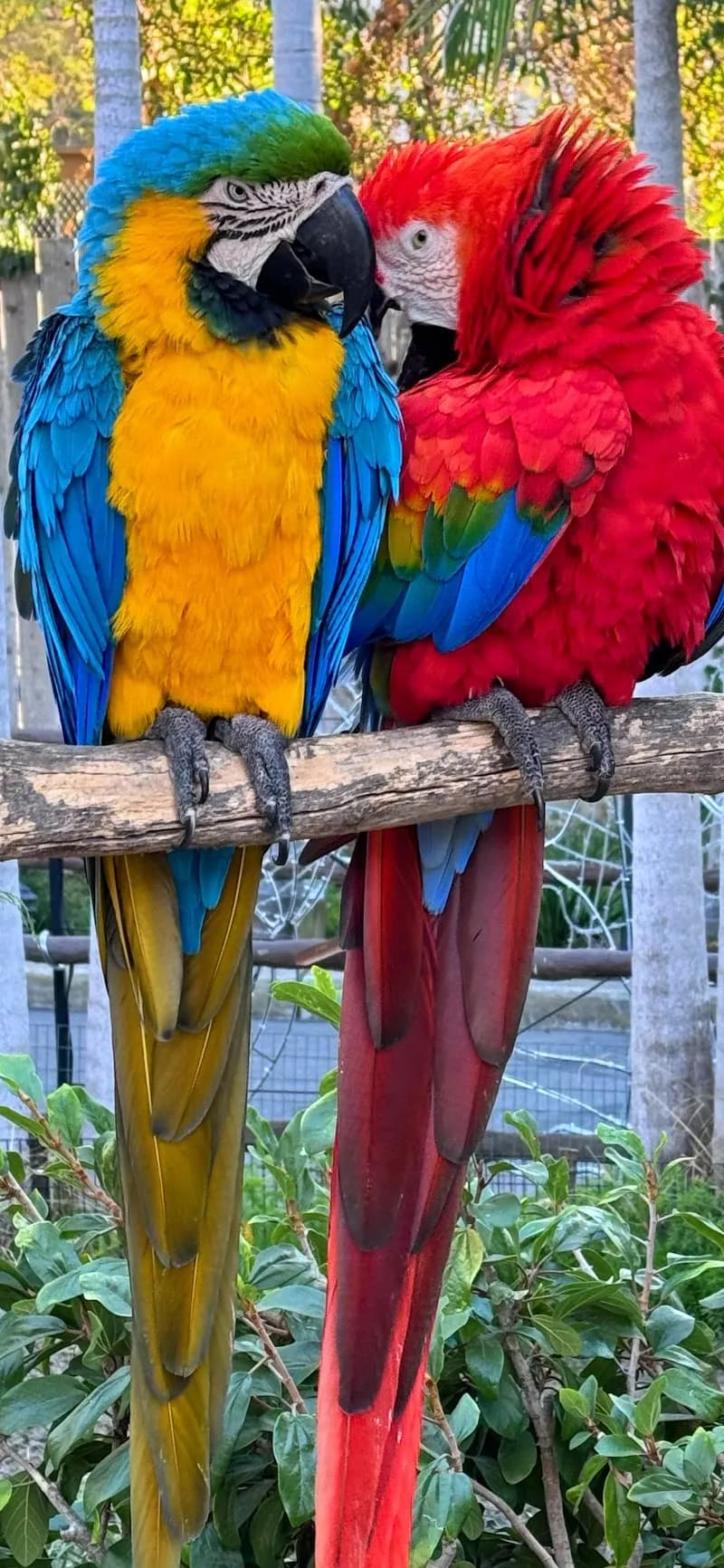 View of Santa Barbara Zoo in Santa Barbara, CA