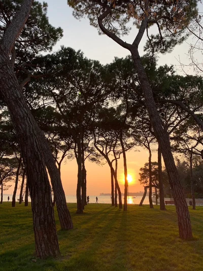 View of Sant'Elena in Venice, VN