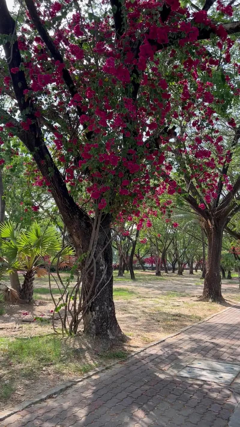 View of Saphan Hin Phuket Municipal Sport Center in Saphan Hin, Phuket