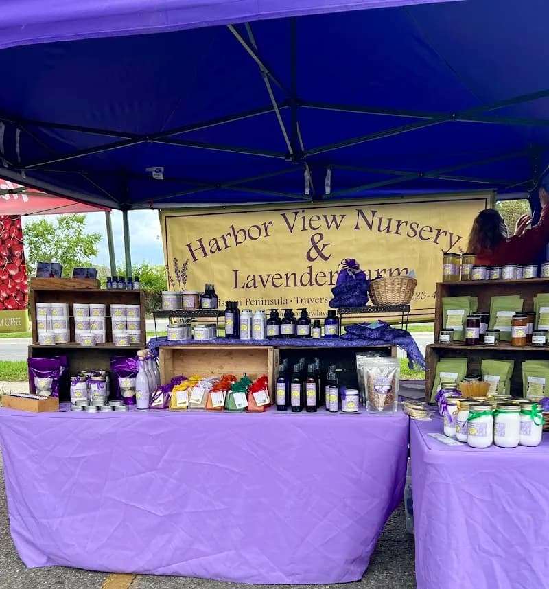 View of Sara Hardy Farmers Market in Traverse City, MI