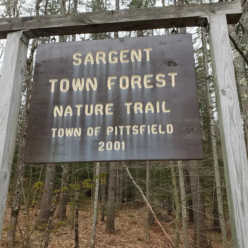 Sargent Town Forest Nature Trail nature preserve in Weare, NH