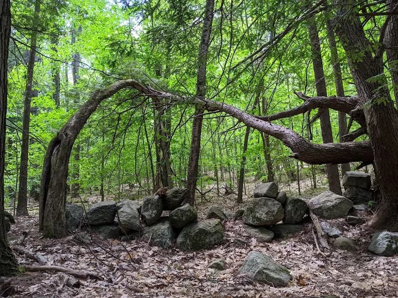 View of Sargent Town Forest Nature Trail in Weare, NH