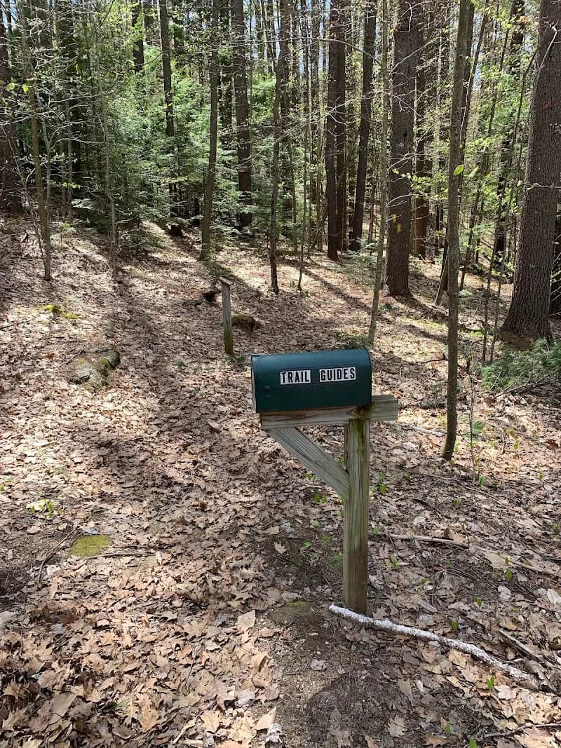 View of Sargent Town Forest Nature Trail in Weare, NH