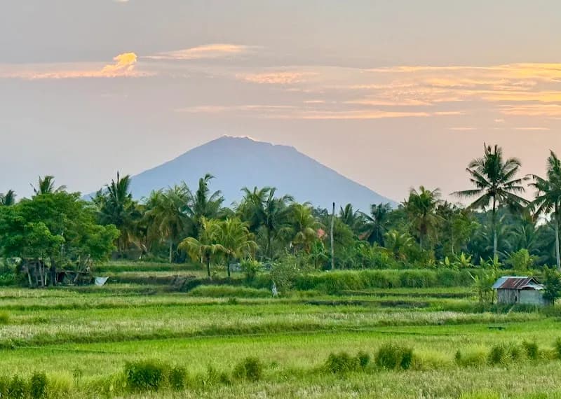 Sari Organic Walk hiking area in Klungkung, Bali